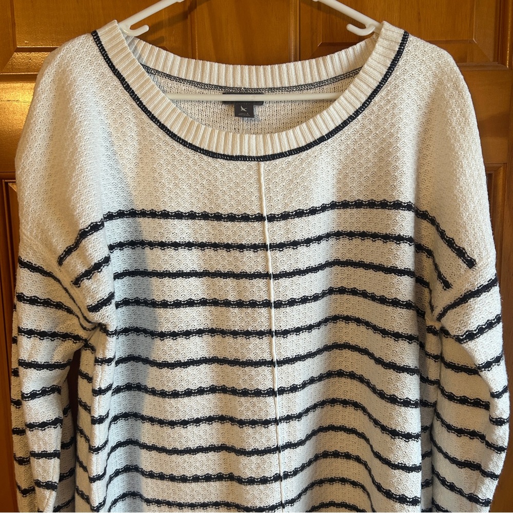 Eddie Bauer Dark Navy and White Striped Sweater